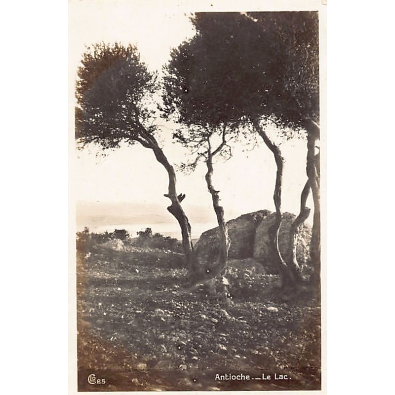 Rare collectable postcards of Turkey. Vintage Postcards of Turkey