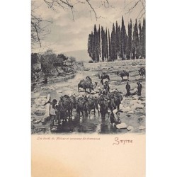 Rare collectable postcards of Turkey. Vintage Postcards of Turkey