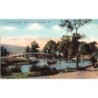 Rare collectable postcards of Turkey. Vintage Postcards of Turkey