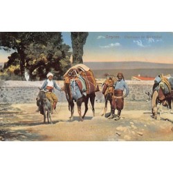 Rare collectable postcards of Turkey. Vintage Postcards of Turkey