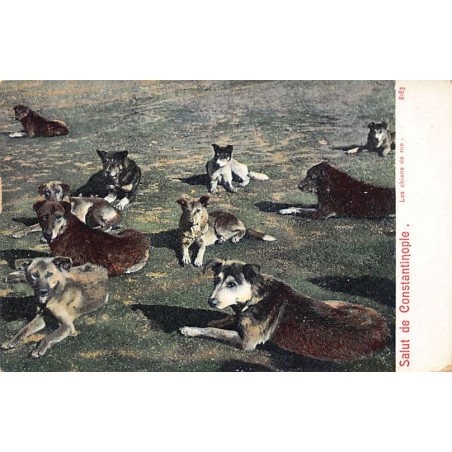 Rare collectable postcards of Turkey. Vintage Postcards of Turkey