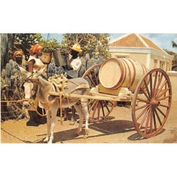 Rare collectable postcards of Curacao. Vintage Postcards of Curacao