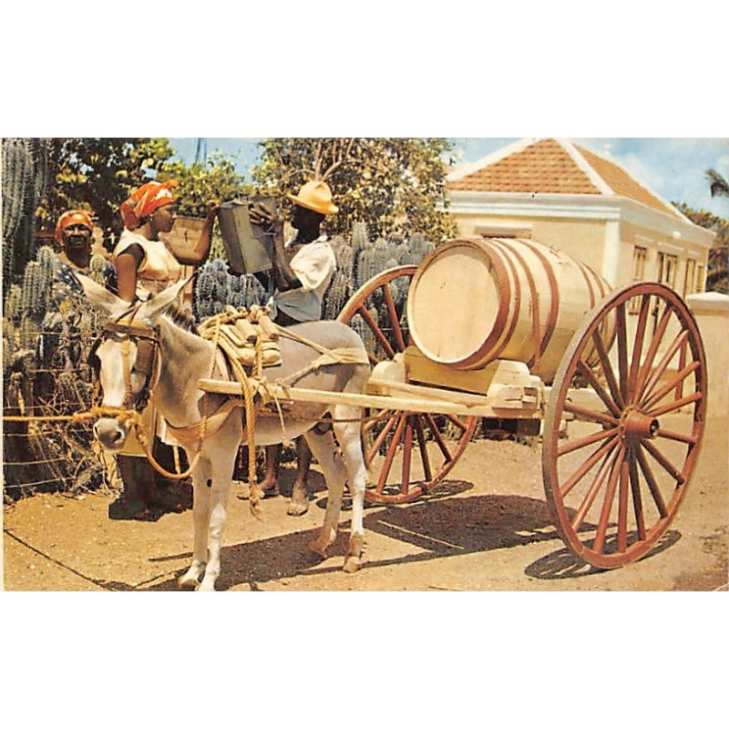 Rare collectable postcards of Curacao. Vintage Postcards of Curacao