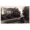 Rare collectable postcards of United Kingdom - England. Vintage Postcards of United Kingdom - England