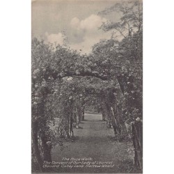 Rare collectable postcards of United Kingdom - England. Vintage Postcards of United Kingdom - England