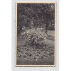 Rare collectable postcards of United Kingdom - England. Vintage Postcards of United Kingdom - England
