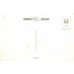 Rare collectable postcards of United Kingdom - England. Vintage Postcards of United Kingdom - England