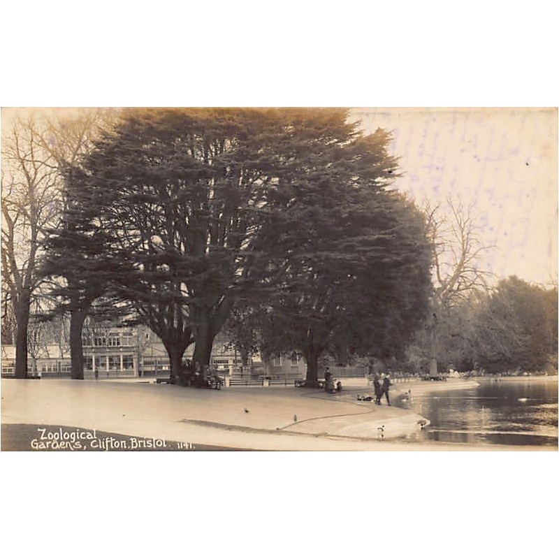 Rare collectable postcards of United Kingdom - England. Vintage Postcards of United Kingdom - England