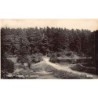 Rare collectable postcards of United Kingdom - England. Vintage Postcards of United Kingdom - England
