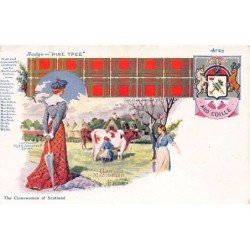 Rare collectable postcards of United Kingdom - Scotland. Vintage Postcards of United Kingdom - Scotland