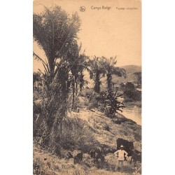 Rare collectable postcards of CONGO KINSHASA. Vintage Postcards of CONGO KINSHASA