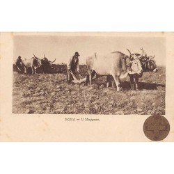 Rare collectable postcards of ITALIA Italy. Vintage Postcards of ITALIA Italy