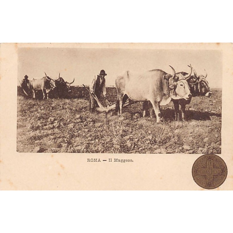 Rare collectable postcards of ITALIA Italy. Vintage Postcards of ITALIA Italy