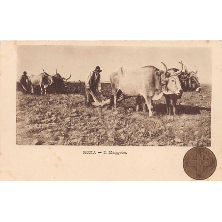 Rare collectable postcards of ITALIA Italy. Vintage Postcards of ITALIA Italy