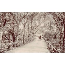 Rare collectable postcards of United Kingdom - Jersey. Vintage Postcards of United Kingdom - Jersey