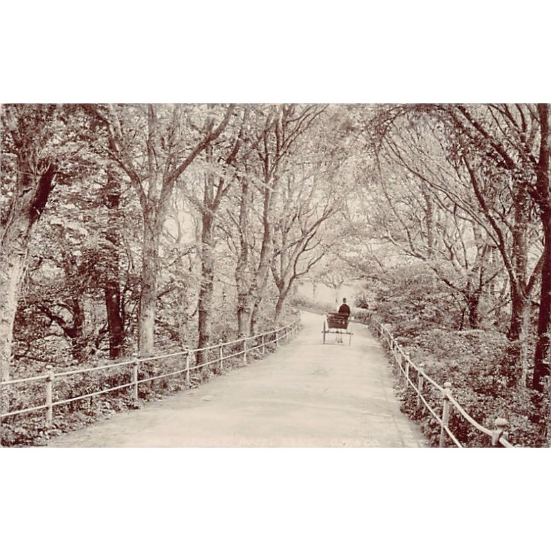 Rare collectable postcards of United Kingdom - Jersey. Vintage Postcards of United Kingdom - Jersey