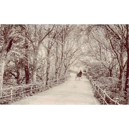 Rare collectable postcards of United Kingdom - Jersey. Vintage Postcards of United Kingdom - Jersey