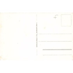 Rare collectable postcards of Switzerland. Vintage Postcards of Switzerland