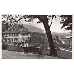 Rare collectable postcards of Switzerland. Vintage Postcards of Switzerland