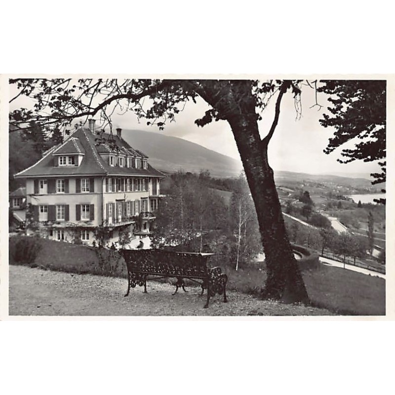 Rare collectable postcards of Switzerland. Vintage Postcards of Switzerland