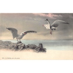 Rare collectable postcards of Switzerland. Vintage Postcards of Switzerland