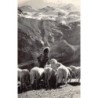 Rare collectable postcards of Switzerland. Vintage Postcards of Switzerland