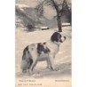 Rare collectable postcards of Switzerland. Vintage Postcards of Switzerland