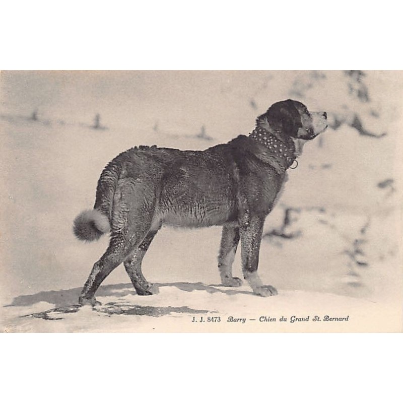 Rare collectable postcards of Switzerland. Vintage Postcards of Switzerland