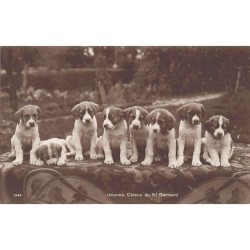 Rare collectable postcards of Switzerland. Vintage Postcards of Switzerland