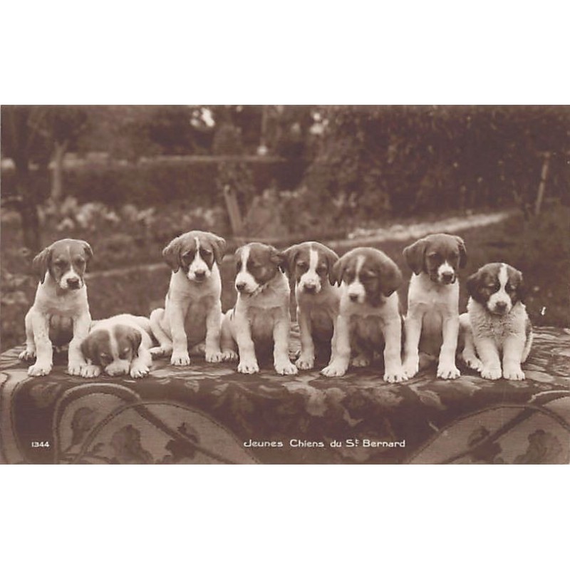 Rare collectable postcards of Switzerland. Vintage Postcards of Switzerland