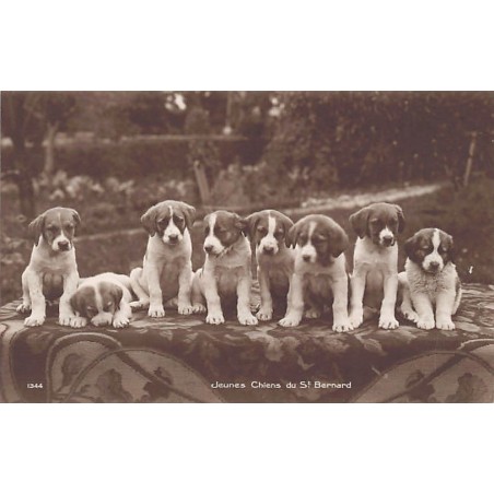 Rare collectable postcards of Switzerland. Vintage Postcards of Switzerland