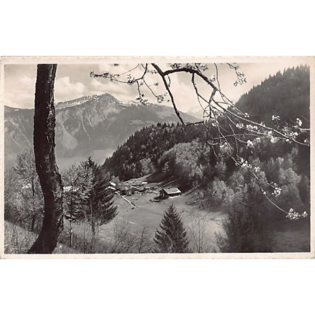 Rare collectable postcards of Switzerland. Vintage Postcards of Switzerland