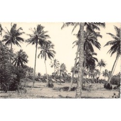 Rare collectable postcards of Madagascar. Vintage Postcards of Madagascar