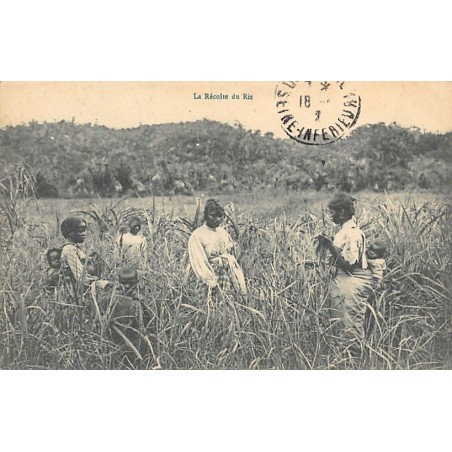 Rare collectable postcards of Madagascar. Vintage Postcards of Madagascar