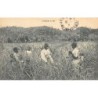 Rare collectable postcards of Madagascar. Vintage Postcards of Madagascar