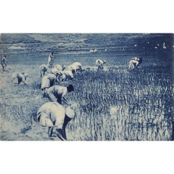 Rare collectable postcards of Madagascar. Vintage Postcards of Madagascar