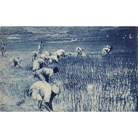 Rare collectable postcards of Madagascar. Vintage Postcards of Madagascar