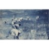 Rare collectable postcards of Madagascar. Vintage Postcards of Madagascar