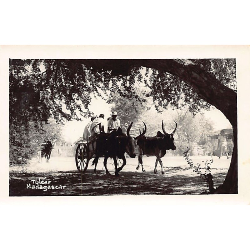 Rare collectable postcards of Madagascar. Vintage Postcards of Madagascar