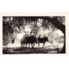 Rare collectable postcards of Madagascar. Vintage Postcards of Madagascar