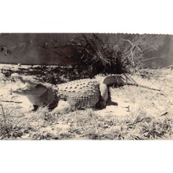 Rare collectable postcards of Madagascar. Vintage Postcards of Madagascar