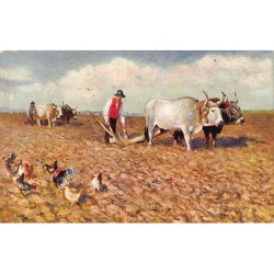 Rare collectable postcards of ITALIA Italy. Vintage Postcards of ITALIA Italy