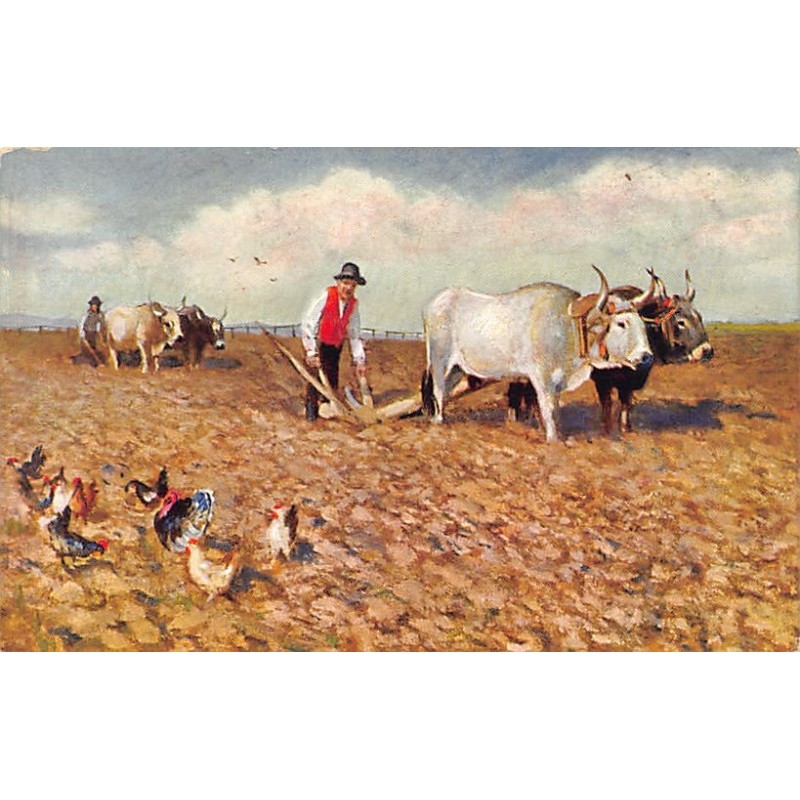 Rare collectable postcards of ITALIA Italy. Vintage Postcards of ITALIA Italy