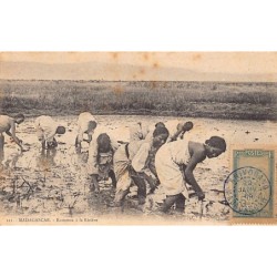 Rare collectable postcards of Madagascar. Vintage Postcards of Madagascar