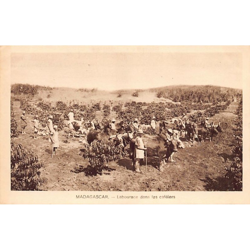 Rare collectable postcards of Madagascar. Vintage Postcards of Madagascar
