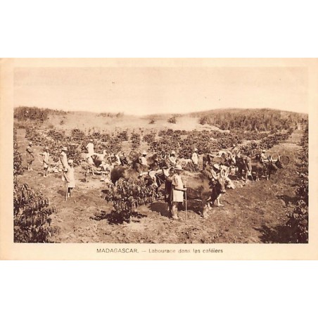 Rare collectable postcards of Madagascar. Vintage Postcards of Madagascar