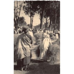 Rare collectable postcards of Madagascar. Vintage Postcards of Madagascar