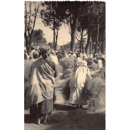 Rare collectable postcards of Madagascar. Vintage Postcards of Madagascar