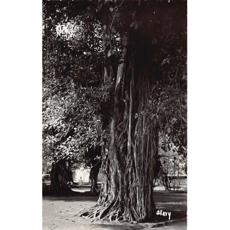 Rare collectable postcards of Madagascar. Vintage Postcards of Madagascar