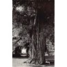 Rare collectable postcards of Madagascar. Vintage Postcards of Madagascar
